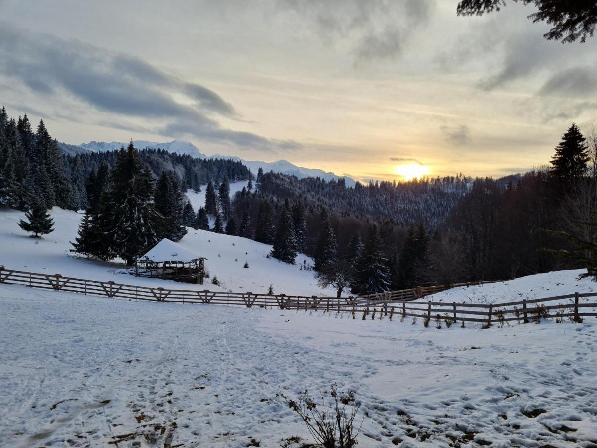 Villa Casa Rai Predeal Esterno foto